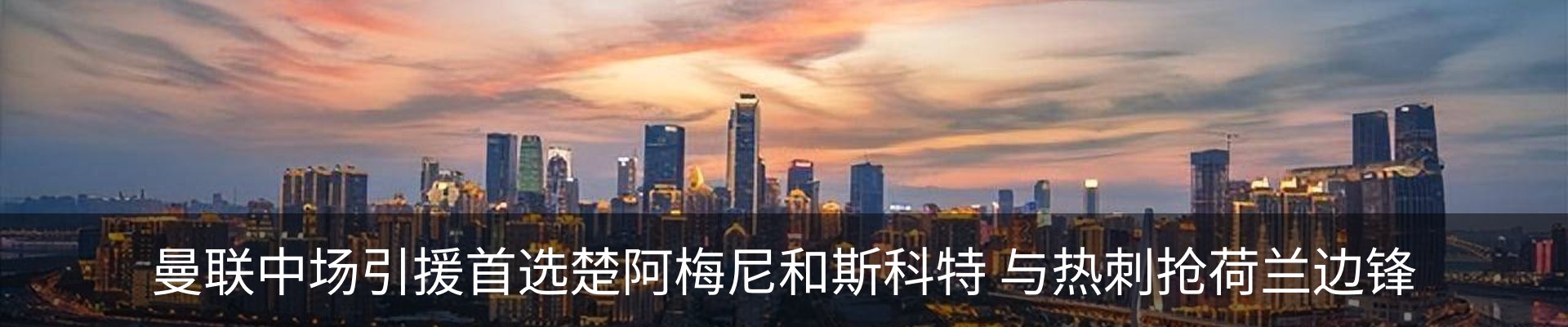 最新动态